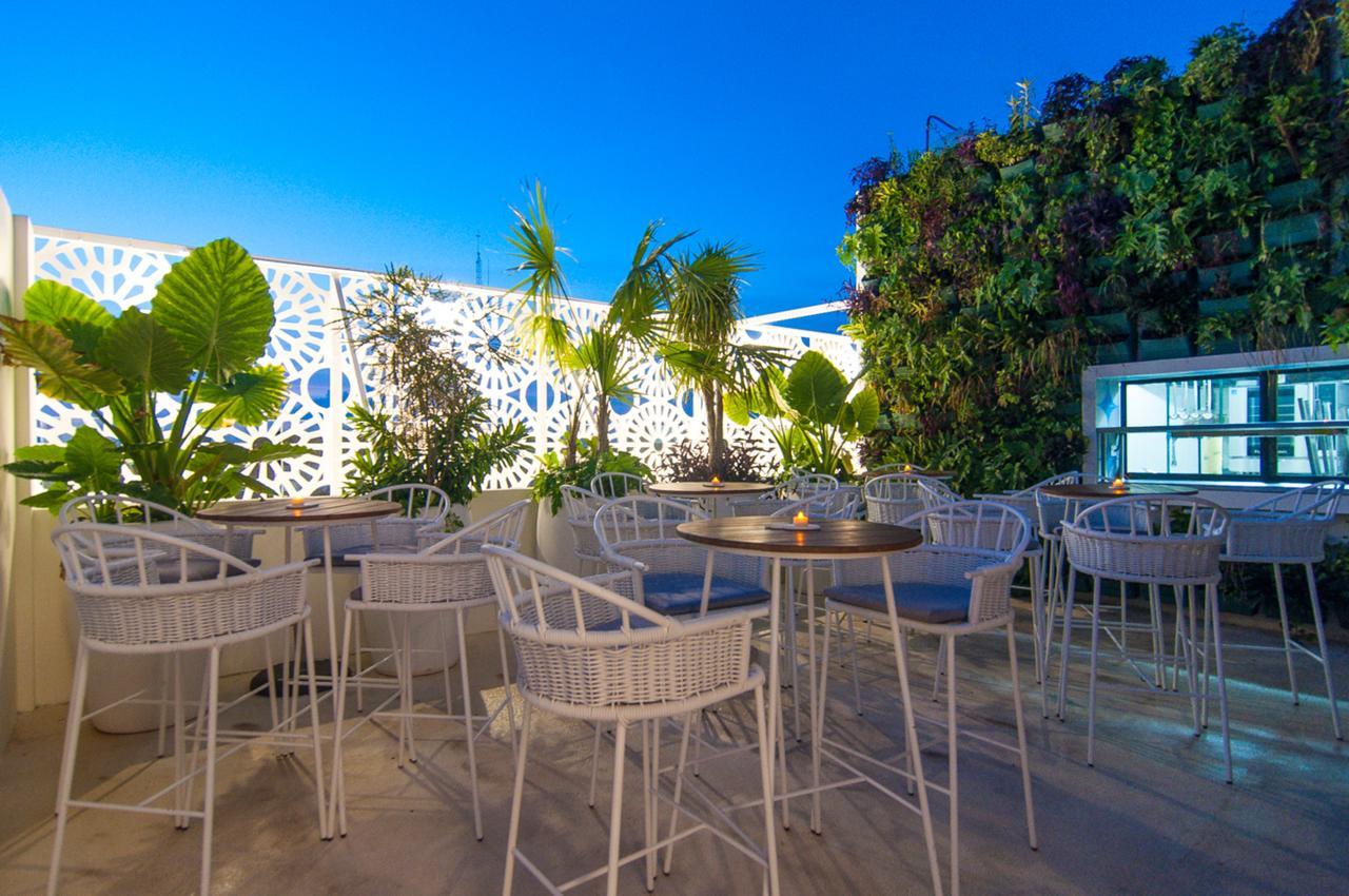 Hotel Morgana By Iter Sensibus Playa del Carmen Exteriér fotografie